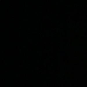 Meet your Posher, Kenny